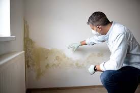 Mold Remediation for Rental Properties in Gatlinburg, TN